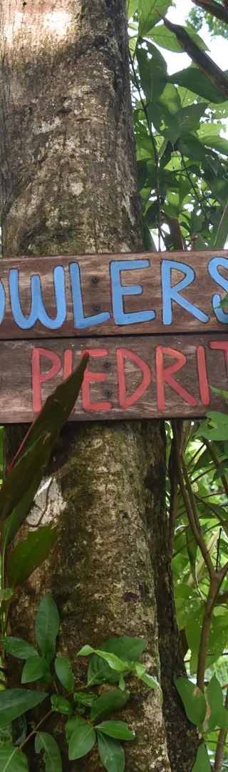 Der Fluch der panamaischen Wanderwege